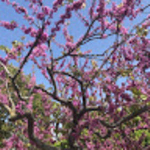 Meet your Posher, Kristin